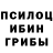 Псилоцибиновые грибы Magic Shrooms Olexandr Reznichencko