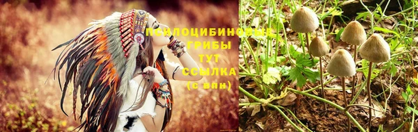дурь Пролетарск