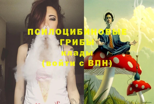 мяу мяу мука Ростов
